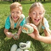image:imageDig It Up Discoveries Wild Animals  Kit Includes 12 Eggs Each with a Different Animal 12 Chiseling Tools and Instructions