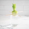 image:imageHome Grown Hydroponic Growing Kit  Tools amp Instructions for NoWaste Kitchen Gardening Ages 8 and up