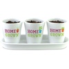 image:imageHome Grown Hydroponic Growing Kit  Tools amp Instructions for NoWaste Kitchen Gardening Ages 8 and up