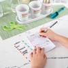 image:imageHome Grown Hydroponic Growing Kit  Tools amp Instructions for NoWaste Kitchen Gardening Ages 8 and up