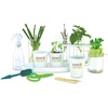 image:imageHome Grown Hydroponic Growing Kit  Tools amp Instructions for NoWaste Kitchen Gardening Ages 8 and up