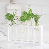 image:imageHome Grown Hydroponic Growing Kit  Tools amp Instructions for NoWaste Kitchen Gardening Ages 8 and up