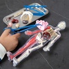 image:imageHuman Body Anatomy Model Kit  31Piece Interactive STEM Set with 9 Squishy Organs Bones Muscles amp Blood Vessels Forceps amp Discovery Guide  Educational Science Tool for Kids 6