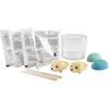 image:imageMindWare Crystal Growing Kits Hedgehog Cool Colors Grow Your Own Crystals Kit for Kids  Makes 2 HedgehogsHedgehog Cool Colors