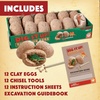 image:imageMindWare Dig It Up Dinosaur eggs excavation kit