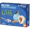 image:imageMindWare Dig It Up Discoveries Cats  PartySized 12Pack of Educational Discovery Digs for Kids with Tools amp Fun Facts  Learn All About Cats
