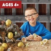 image:imageMindWare Dig It Up Discoveries Dragon Eggs Dig Kit  Includes 12 Dragon Eggs with Toys Inside Chisel Tools Instruction Sheets amp Excavation Guidebook