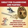 image:imageMindWare Dig It Up Discoveries Dragon Eggs Dig Kit  Includes 12 Dragon Eggs with Toys Inside Chisel Tools Instruction Sheets amp Excavation Guidebook