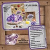 image:imageMindWare Dig It Up Giant Gem Discovery Kit  Gemstone Dig Kit Offers Geology for Kids with 12 Real Polished Hidden Gemstones  Includes 1 Giant Gem Chiseling Tools Gemstone Poster  Ages 4