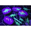 image:imageMindWare Dig It Up Glow in the Dark Dinosaurs  STEM Dig Kit for Kids Includes 8 Dinosaur Excavation Projects that Really Glow Ages 4