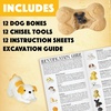 image:imageMindWare Dig it Up Puppies Excavation Kit  Educational Toys for Kids 4 and Up  Dig Kit with 12 Bones 12 Puppy Figurines 12 Chisels  Ideal for Group Activities Events or Classroom Brain Breaks