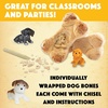 image:imageMindWare Dig it Up Puppies Excavation Kit  Educational Toys for Kids 4 and Up  Dig Kit with 12 Bones 12 Puppy Figurines 12 Chisels  Ideal for Group Activities Events or Classroom Brain Breaks