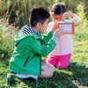 image:imageMindWare Make Your Own Bug Catcher Kit for Kids  Includes 12 Paint Colors Glue 3 Brushes amp Guidebook  DIY Craft for Kids Ages 5