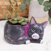 image:imageMindWare Paint Your Own Cat Dish  Porcelain Painting Figures for Kids Teens amp Adults Ages 8 amp Up  Includes 12 Paints and 2 Brushes