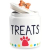 image:imageMindWare Paint Your Own Porcelain Dog Treat Jar Craft Kit  Includes Porcelain Dog Treat jar 12 Bright Colors of Porcelain Paint 2 paintbrushes and Painting Guide