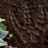 image:imageMindWare Paint Your Own Stepping Stone Dinosaur Footprint  WeatherResistant 85inch x 10inch Stepping Stones Kids Craft Kit  Includes Paint Brushes and Instructions  Ages 8 and Up