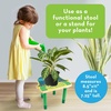 image:imageMindWare Paint Your Own Turtle Wooden Stool DIY Art Furniture Craft Kit with Paint Brushes and Easy Assembly Parts Paintable Kids Stool for Creative Playroom Decor Kids Age 5