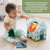 image:imageMindWare Sensory Sprouts Tissue Scarf  Montessori Toys for Babies 612 Months  Soft GreenhouseShaped Tissue Box and 12 Sensory Scarves Featuring Different Textures
