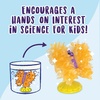 image:imageMindWare Sparkle Formations Crystal Butterflies Science Kit with Crystal Growing Experiment for Kids Ages 8 and Up Grow and Display Colorful Crystal Wings Includes 2 Butterfly Models
