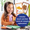 image:imagePeaceable Kingdom World of Eric Carle Discover and Learn Scavenger Hunt Game Interactive Toddler Learning Cards for Colors Shapes and Numbers Educational Activity Ages 3