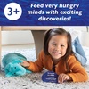 image:imagePeaceable Kingdom World of Eric Carle Discover and Learn Scavenger Hunt Game Interactive Toddler Learning Cards for Colors Shapes and Numbers Educational Activity Ages 3