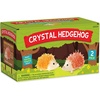 image:imageMindWare Crystal Growing Kits Hedgehog Cool Colors Grow Your Own Crystals Kit for Kids  Makes 2 HedgehogsHedgehog