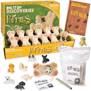 image:imageMindWare Dig it Up Puppies Excavation Kit  Educational Toys for Kids 4 and Up  Dig Kit with 12 Bones 12 Puppy Figurines 12 Chisels  Ideal for Group Activities Events or Classroom Brain Breaks