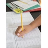 image:imageMath Perplexors Deductive Logic Puzzles Level C Grades 56