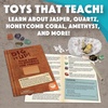 image:imageMindWare Dig It Up Dig Kits for Kids Age 812 12 Stone Fossil Toys for Girls amp Boys Great for Classrooms Birthday Party amp Kids Activities