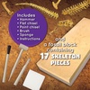 image:imageMindWare Dig It up Tyrannosaurus Rex Fossil Excavation Kit  Dinosaur Stem Toy for Kids  Includes Fossil Block Hammer Chisels Brush amp Sponge