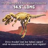 image:imageMindWare Dig It up Tyrannosaurus Rex Fossil Excavation Kit  Dinosaur Stem Toy for Kids  Includes Fossil Block Hammer Chisels Brush amp Sponge