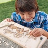 image:imageMindWare Dig It up Tyrannosaurus Rex Fossil Excavation Kit  Dinosaur Stem Toy for Kids  Includes Fossil Block Hammer Chisels Brush amp Sponge