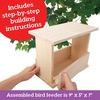 image:imageMindWare Make Your Own Bird Feeder Kits for Kids  Build Your Own  Includes 13 Paint Colors and 3 Brushes