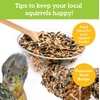 image:imageMindWare Make Your Own MYO Squirrel Feeder Craft Kit for Kids  Includes Wood Pieces Paint Brushes Instructions and More