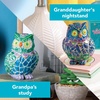 image:imageMindWare Two Creative Friendship Owls Stone Dcor Painting Craft Kit for Two  Ideal Kids Arts amp Crafts Kit for Ages 8 amp Up  Learn How to Paint