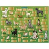image:imageMindWare Scratch Off Poster  ScratchAFact  Dogs