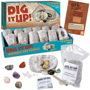 image:imageMindWare Dig It Up Dig Kits for Kids Age 812 12 Stone Fossil Toys for Girls amp Boys Great for Classrooms Birthday Party amp Kids Activities