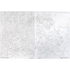 image:imageExtreme Dot to Dot Legends and Lore 2