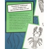image:imageMindware Fantastical Styles Ocean Game