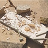 image:imageDig It Up TRex Excavation Kit  3D Dinosaur Skeleton STEM Toy