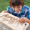 image:imageDig It Up TRex Excavation Kit  3D Dinosaur Skeleton STEM Toy